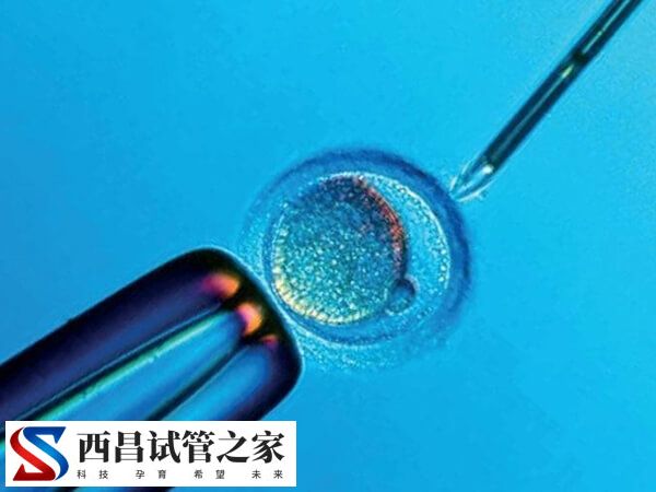 促排卵不好是什么原因引起的