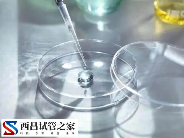 西昌第三代试管婴儿可以移植两枚胚胎生双胞胎吗？