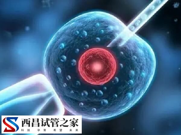 西昌试管婴儿对孩子将来的智商、健康等有坏处吗？