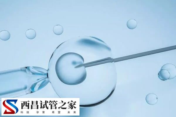 胚胎移植后怎样判断是否着床